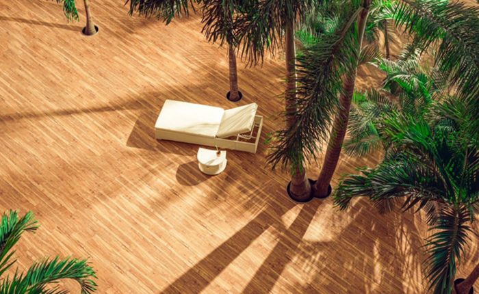 Therme Bucharest – Ένας Τροπικός Παράδεισος στη Ρουμανία