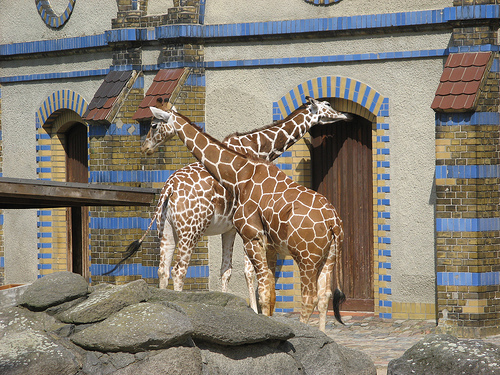 Ζωολογικός κήπος (Zoologischer Garten)
