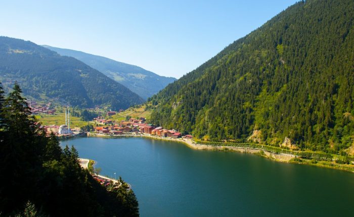 green mountains near body of water during daytime