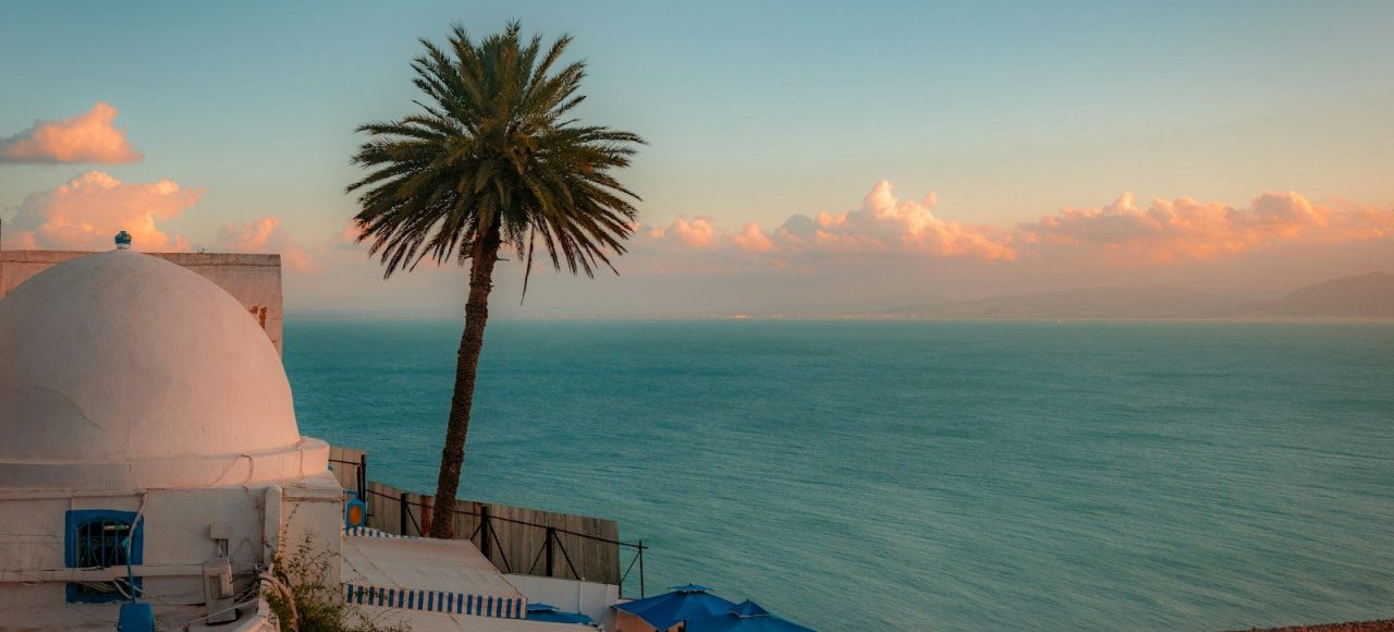 A view of a building with a palm tree in the foreground